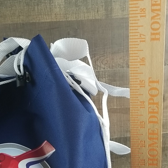 Carnival cruise line insulated cooler draw string - Picture 2 of 9